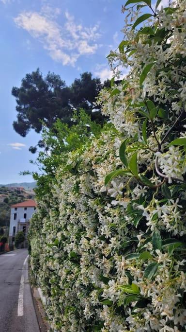 Vista Bella House * Sanremo